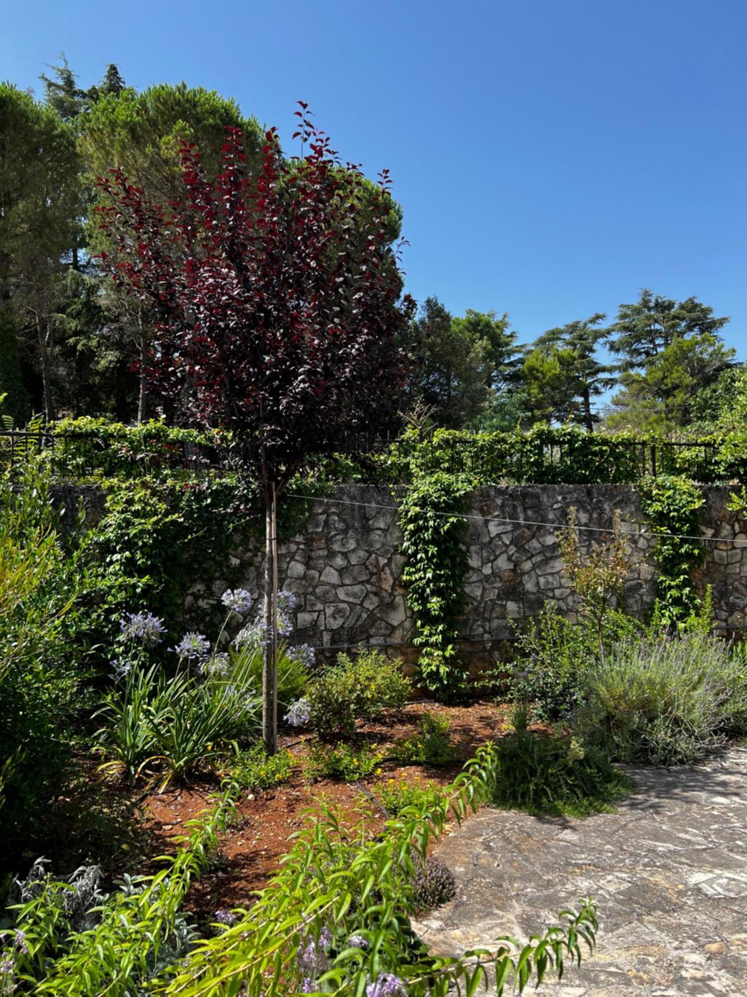 Dimora Di Bari Villa Selva Di Fasano Eksteriør billede